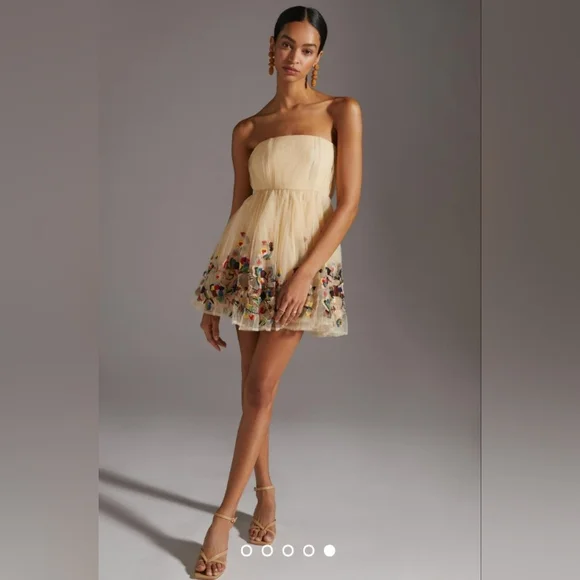 NWT Nikita Mhaisalkar Beige Beaded Embroidered Dress Size 4 ANTHROPOLOGIE - Picture 3 of 11